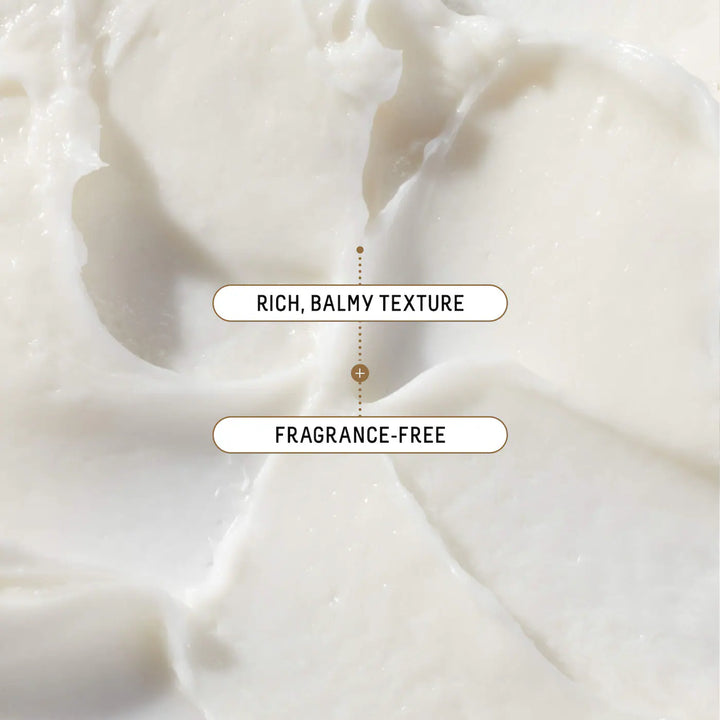 Biossance Squalane + Ectoin Overnight Rescue