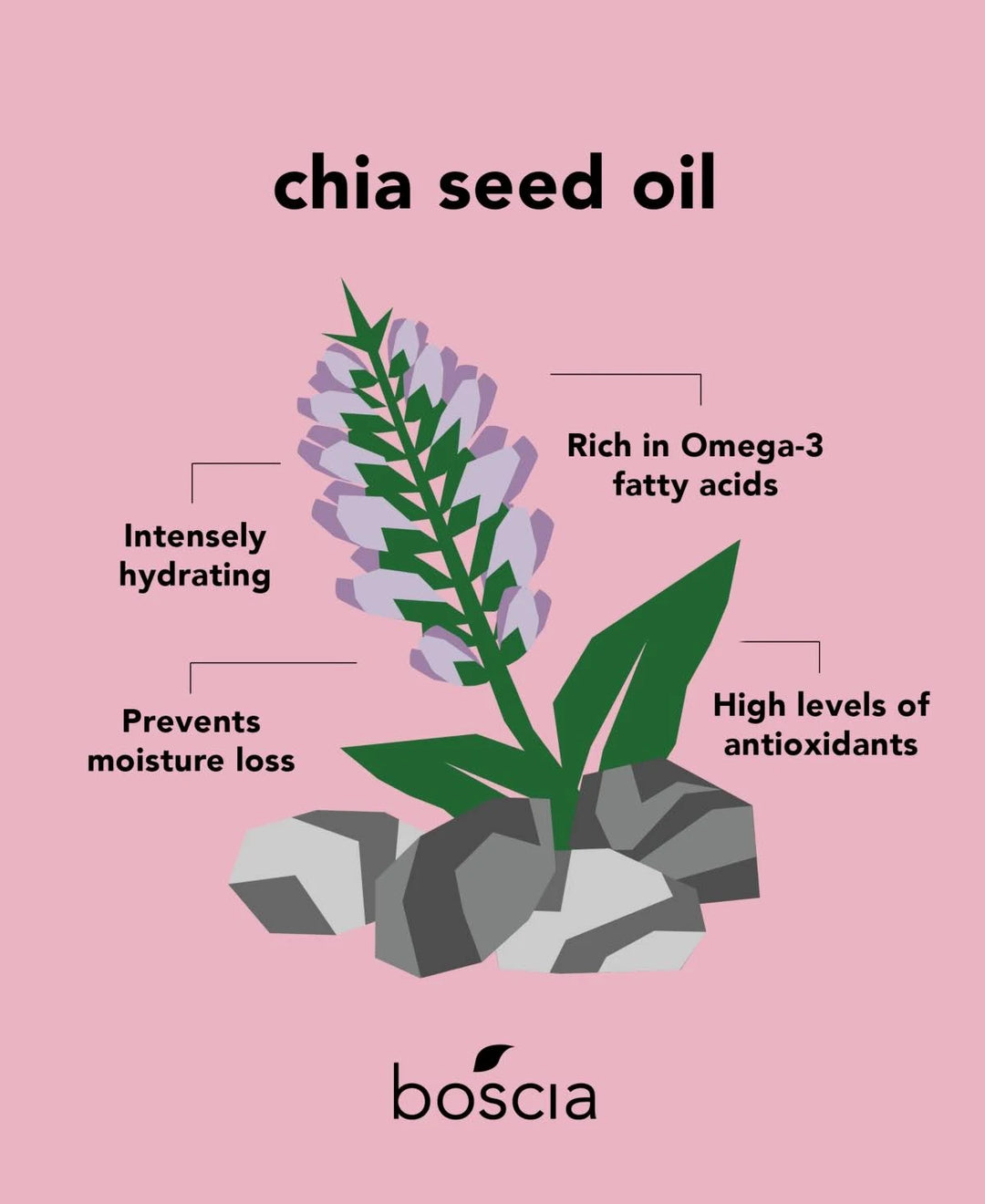 Boscia Chia Seed Moisture Cream