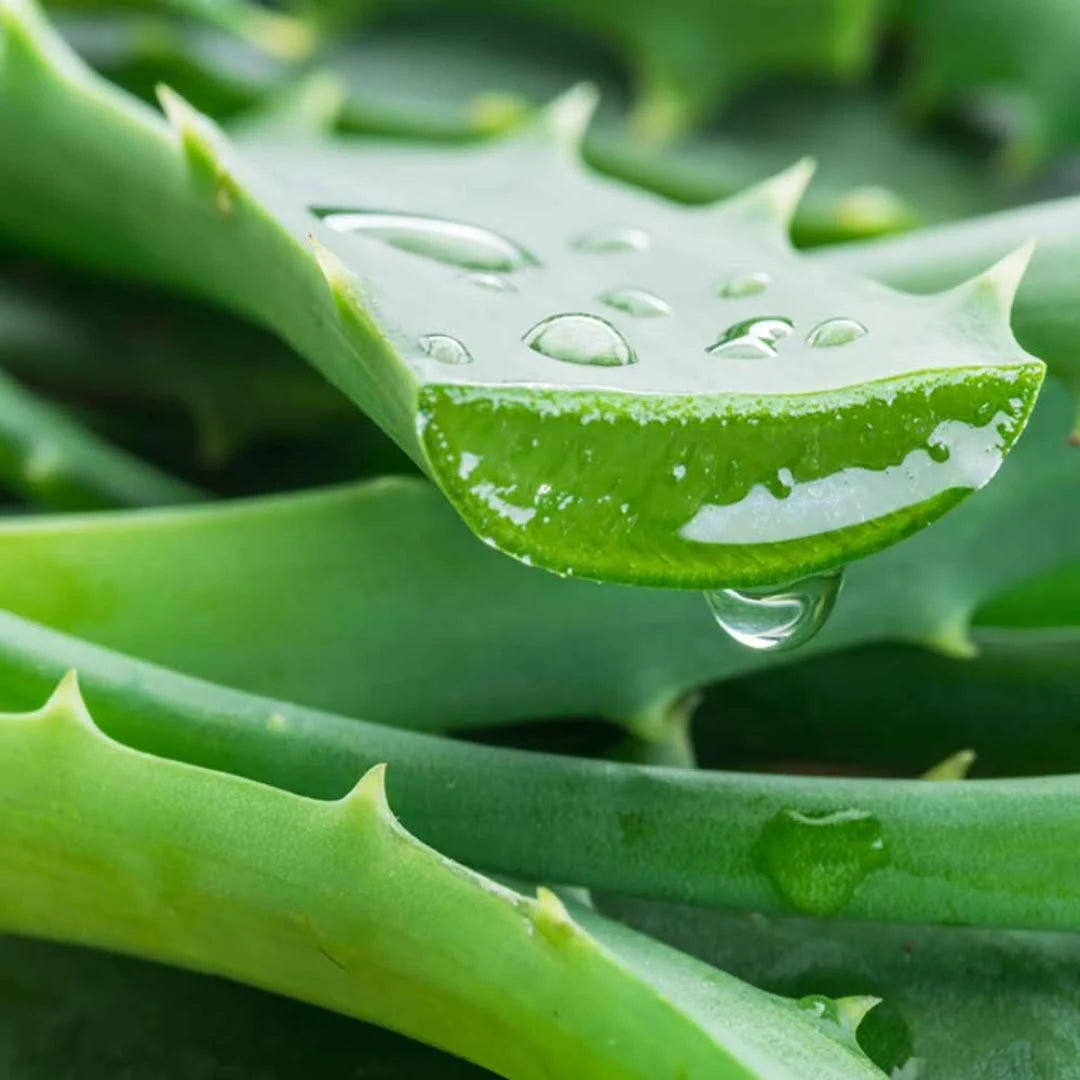 Kiehl’s Breakout Control Blemish Treatment Facial Lotion