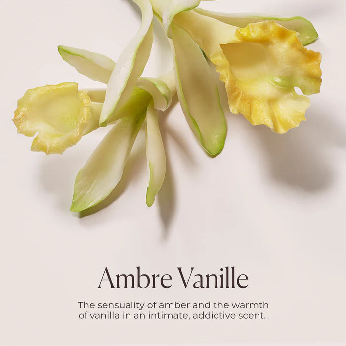 Laura Mercier Delicious & Decadent Ambre Vanille Collection - $117 Value