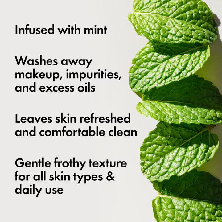 Origins Checks and Balances™ Frothy Face Wash