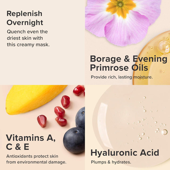 Paula's Choice Skin Recovery Hydrating Mask