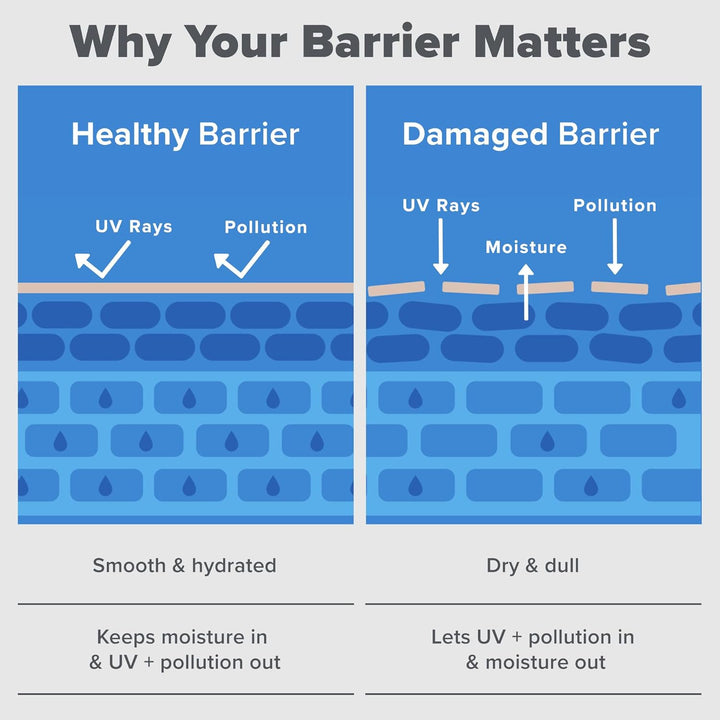 Paula's Choice Barrier Repair Moisturizer